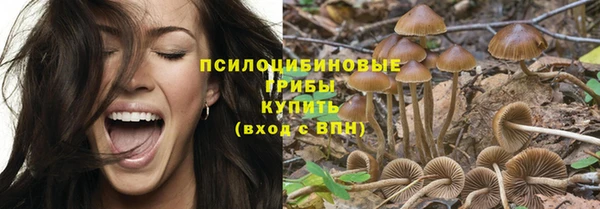 спиды Армянск