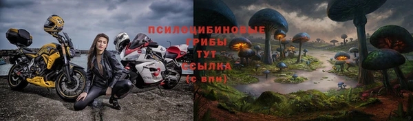 спиды Армянск